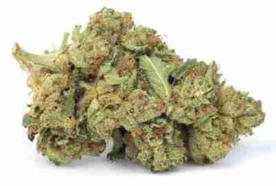 Buy Best Skywalker Marijuana for Sale Online