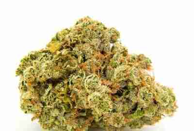 Buy Best White Widow Marijuana for Sale Online